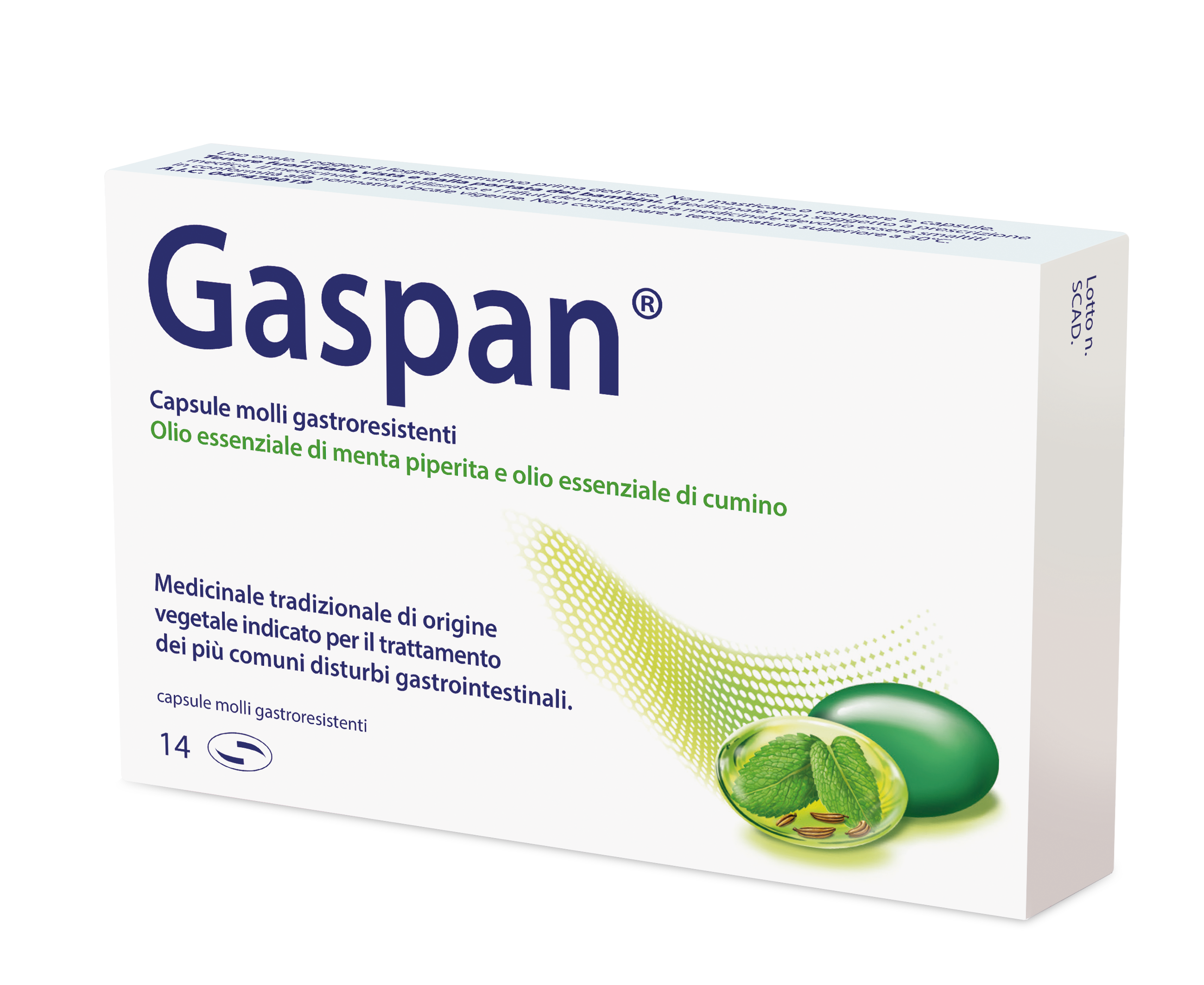GASPAN*14CPS MOLLI GASTRORES - Fontenova srl