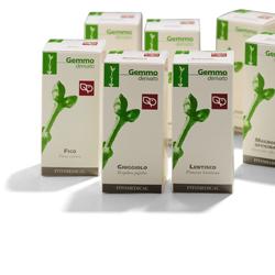 SEGALE MACERATO GLICERICO 50 ML - Fontenova srl