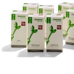 VITE VINIFERA MACERATO GLICERICO 100 ML - Fontenova srl