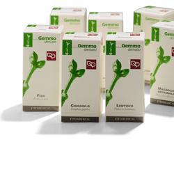 AGNOCASTO MACERATO GLICERICO 200 ML - Fontenova srl