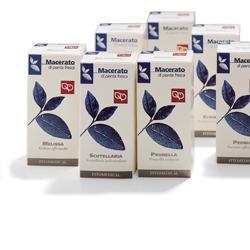 GELSO TINTURA MADRE 100 ML - Fontenova srl
