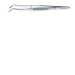 PINZA MEDICAZIONE DENTARIA - Fontenova srl