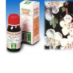 BIANCOSPINO 10 50ML TM - Fontenova srl