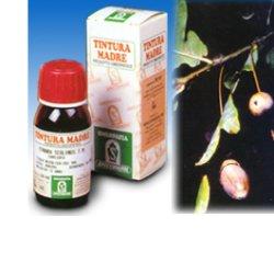 QUERCIA MARI 14 50ML TM - Fontenova srl