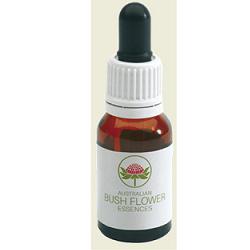 PEACH FLOW TEA TREE AUSTR15 ML - Fontenova srl
