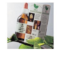 RIBES MACERATO GLICERICO 100 ML - Fontenova srl
