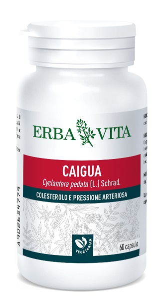 CAIGUA 60 CAPSULE 400 MG - Fontenova srl