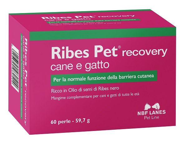 RIBES PET RECOVERY BLISTER 60 PERLE - Fontenova srl