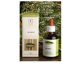 PARTENIO 50ML STV - Fontenova srl