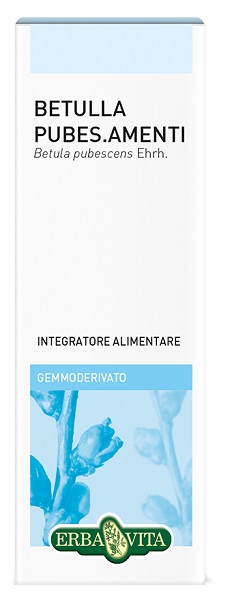 GEMMODERIVATO BETULLA PUBESCENS 50 ML - Fontenova srl