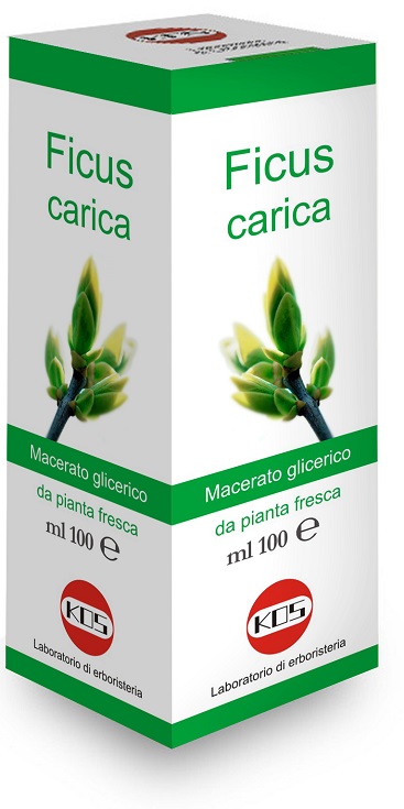FICUS CARICA MACERATO GLICERICO 100 ML - Fontenova srl