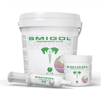 SMIGOL PASTA SIRINGA 100 G - Fontenova srl