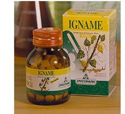 IGNAME ERBE 60TAV - Fontenova srl
