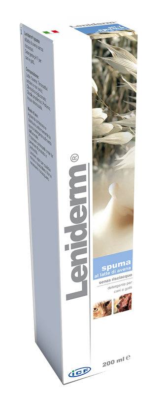 LENIDERM SPUMA DETERGENTE 200 ML - Fontenova srl