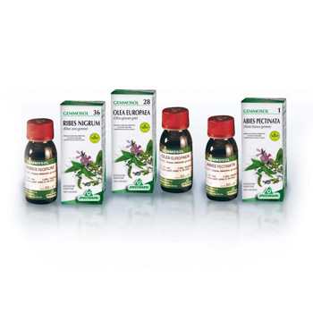 GEMMOSOL 46 TIGLIO ARGEN 50ML - Fontenova srl