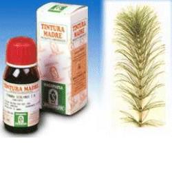 EQUISETO 12 50ML TM - Fontenova srl