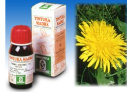 TARASSACO 28 50ML TM - Fontenova srl