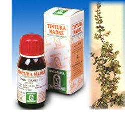 UVA URSINA 30 50ML TM - Fontenova srl