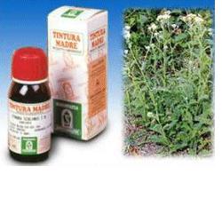 ACHILLEA 51 TINTURA MADRE 50 ML - Fontenova srl