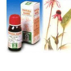 ECHINACEA 59 50ML TM - Fontenova srl