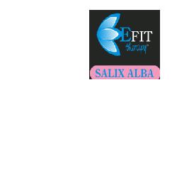 SALIX ALBA ESTRATTO FLUIDO 30 ML - Fontenova srl