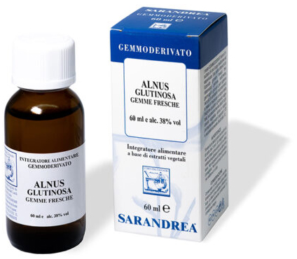 ALNUS GLUTINOSA 100 ML MACERATO GLICERICO - Fontenova srl