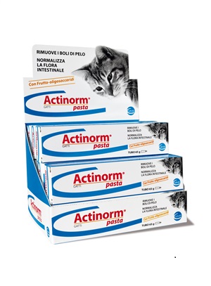 ACTINORM PASTA GATTI 65 G - Fontenova srl