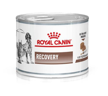 VETERINARY DIET WET DOG & CAT RECOVERY 195 G - Fontenova srl