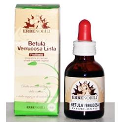FITOBLASTO BETULLA VERRUCOSA LINFA 50 ML - Fontenova srl