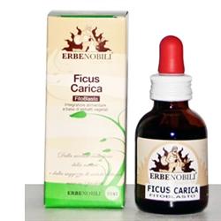 FITOBLASTO FICUS CARICA 50 ML - Fontenova srl