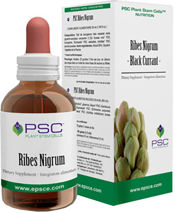 PSC RIBES NIGRUM GOCCE 15 ML - Fontenova srl