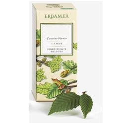 BETULA VERRUCOSA LINFA GEMMODERIVATO BIO 50 ML - Fontenova srl