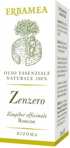ZENZERO 10 ML - Fontenova srl
