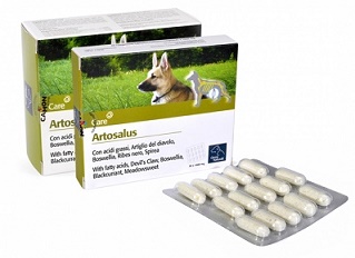 ARTOSALUS COMPRESSE 30 COMPRESSE - Fontenova srl