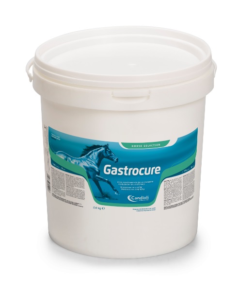 GASTROCURE SECCHIELLO 2,6 KG - Fontenova srl