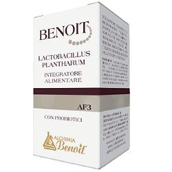 BENOIT LACTOBACILLUS PLANTHARUM 30 CAPSULE - Fontenova srl