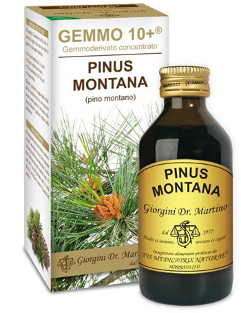 GEMMO 10+ PINO MONTANO 100 ML LIQUIDO ANALCOLICO - Fontenova srl