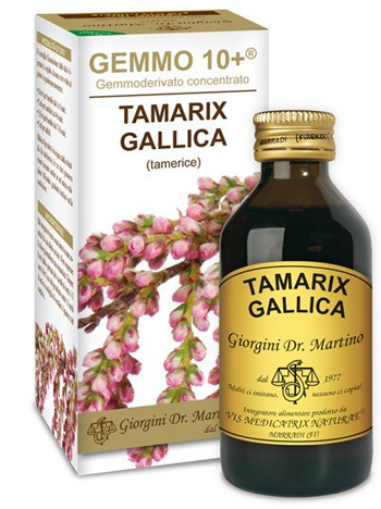 GEMMO 10+ TAMERICE 100 ML LIQUIDO ANALCOLICO - Fontenova srl