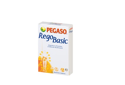 REGOBASIC 12 BUSTINE POLVERE - Fontenova srl