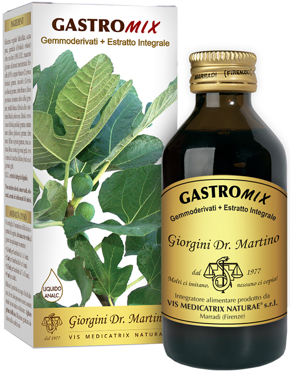 GASTROMIX LIQUIDO ANALCOLICO 100 ML - Fontenova srl