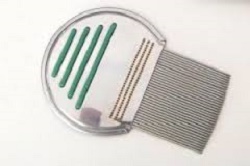 PETTINE ACCIAIO PER RIMOZIONE PIDOCCHI - Fontenova srl