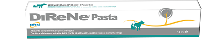 DIRENE PASTA 15 ML - Fontenova srl