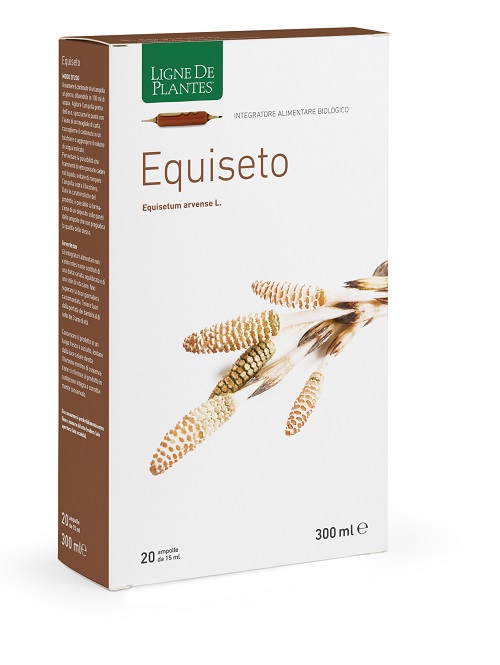 EQUISETO BIOLOGICO 20 AMPOLLE BEVIBILI DA 15 ML - Fontenova srl