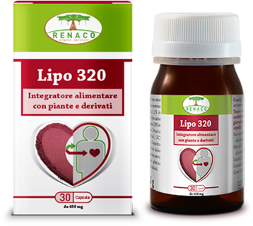 LIPO 320 30 CAPSULE - Fontenova srl