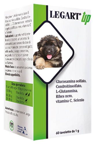 LEGART UP 60 COMPRESSE DA 1 G - Fontenova srl