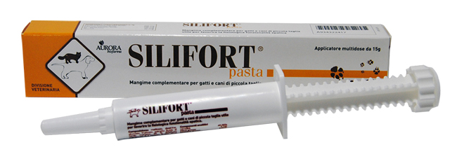SILIFORT PASTA OS SIRINGA 15 G - Fontenova srl