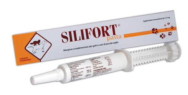 SILIFORT PASTA OS SIRINGA 30 G - Fontenova srl