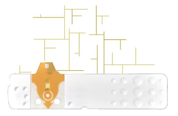 STRISCE MISURAZIONE GLICEMIA LINEA D ORO 25 PEZZI - Fontenova srl