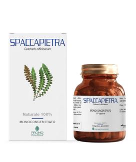 SPACCAPIETRA 50 CAPSULE - Fontenova srl