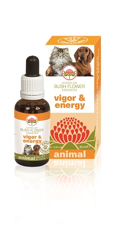 VIGOR & ENERGY 30 ML - Fontenova srl
